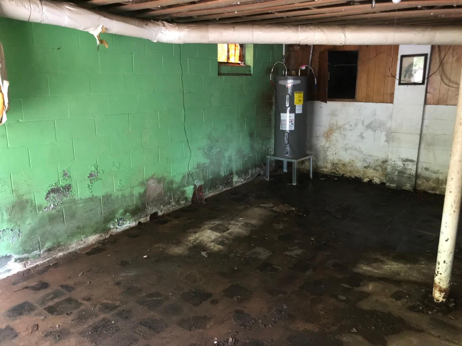 A basement block wall before treatment, with water staining, mold near the top, and peeling paint